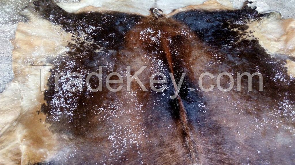 Salted cow hide