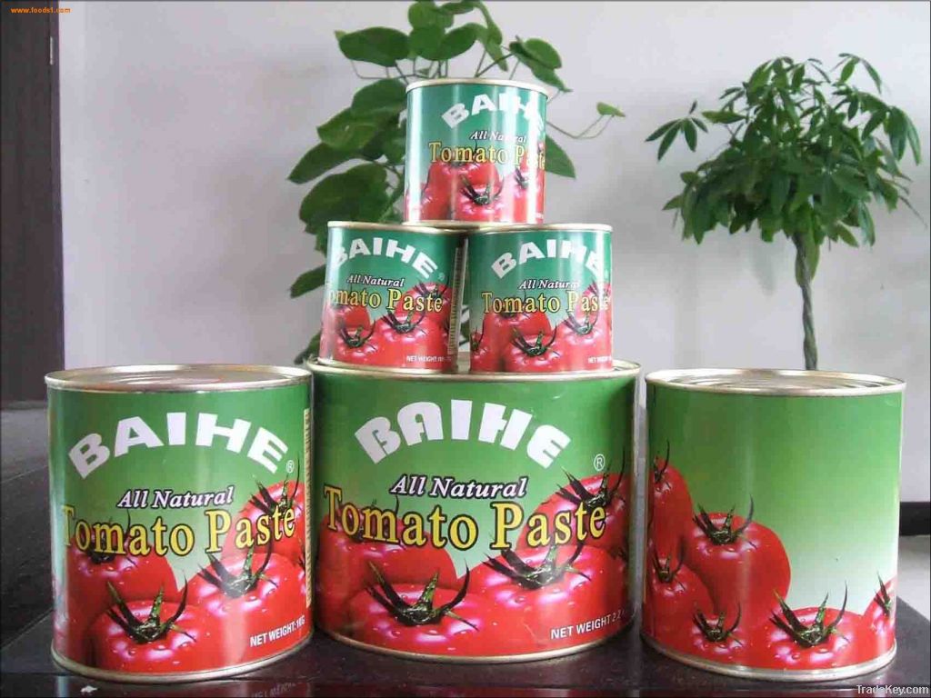 ketchup, tomato ketchup, tomato, canned, Tomato Sauce, Tomato Paste in sac