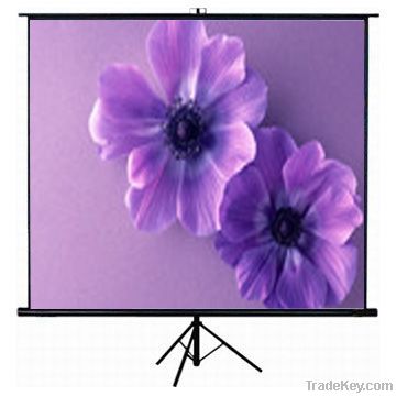 tripod screen with matte white