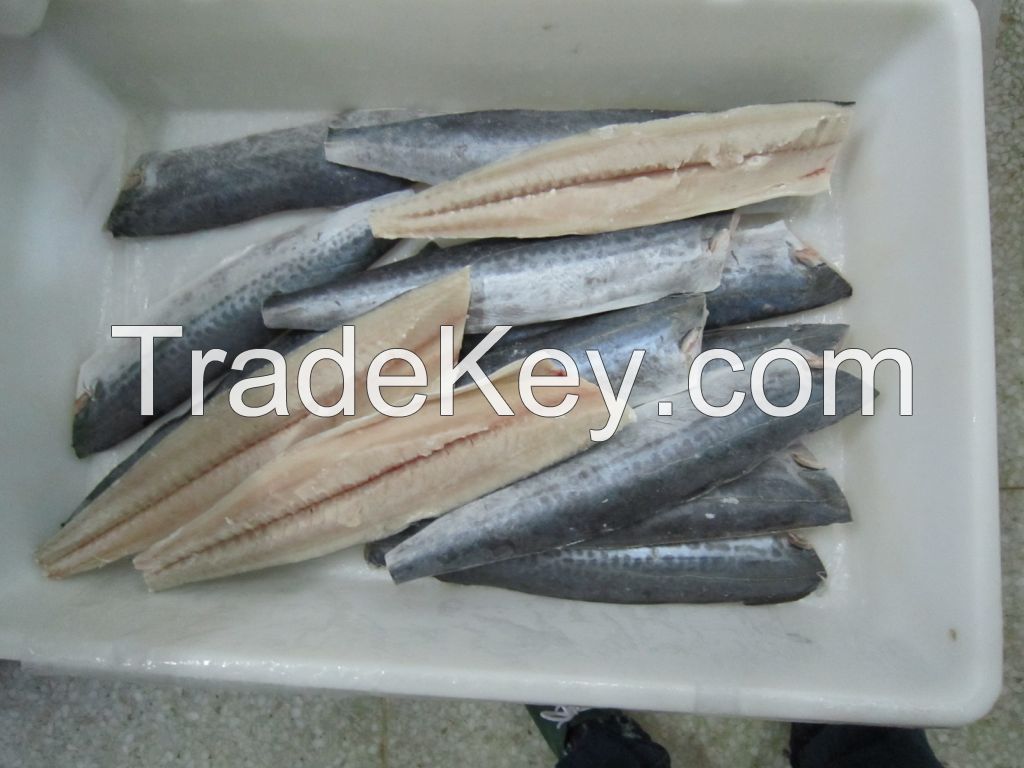 types of seafood frozen spanish mackerel fillet skin on