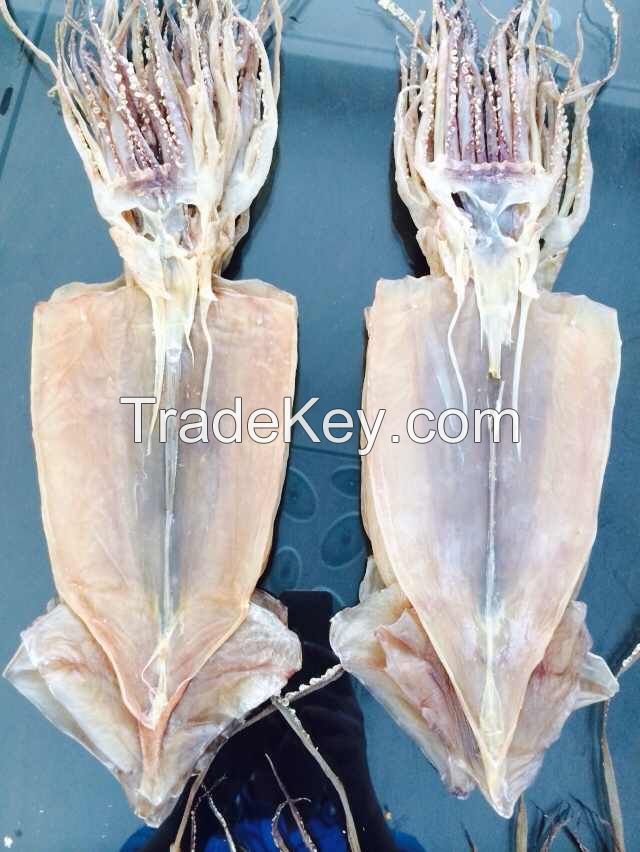 export dried squid seafood for sale