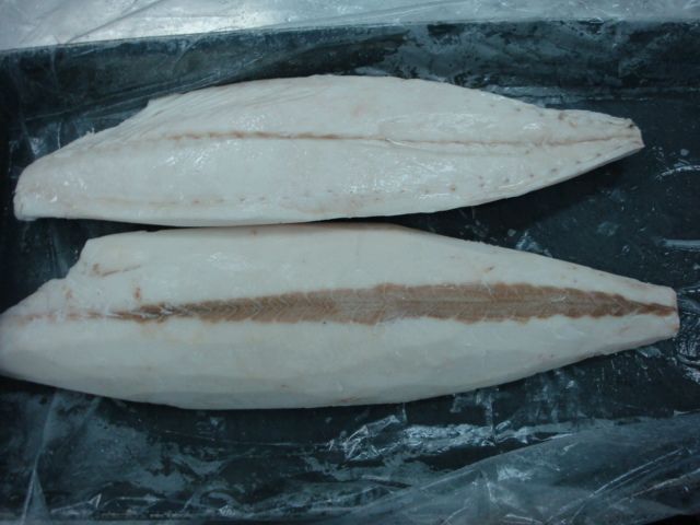 Oilfish