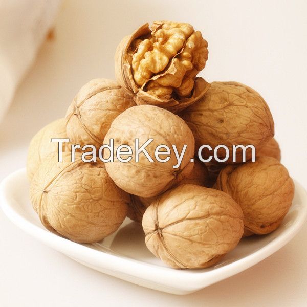 Walnut in shell, export to Vietnam. Australia with good price