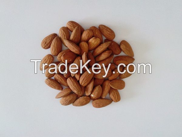 Chinese almond for sale