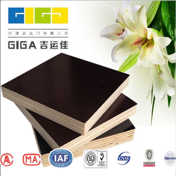 GIGA poplar china cheap plywood suppliers