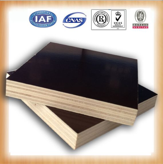 GIGA phenolic poplar waterproof 4x10 plywood sheets