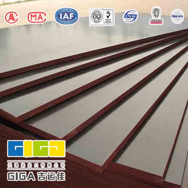 GIGA black phenolic birch marine plywood suppliers