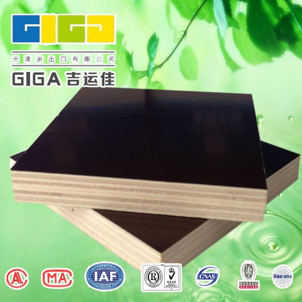 GIGA black phenolic birch marine plywood suppliers