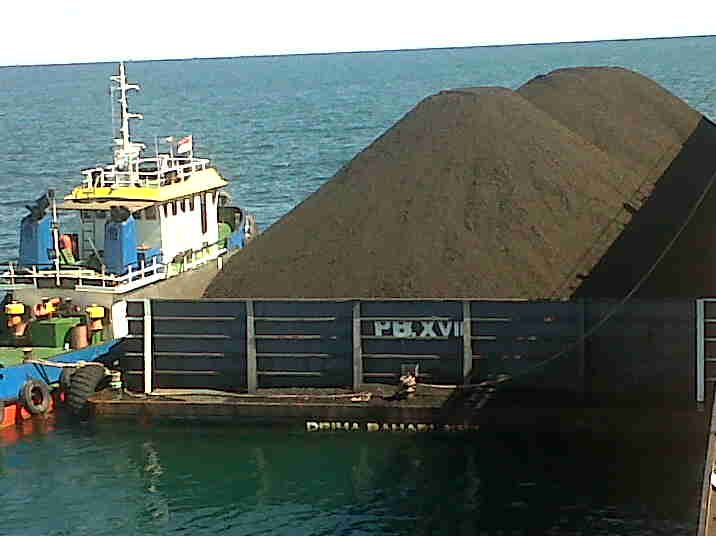 Batu Bara Coal GCV 6300 - 6100