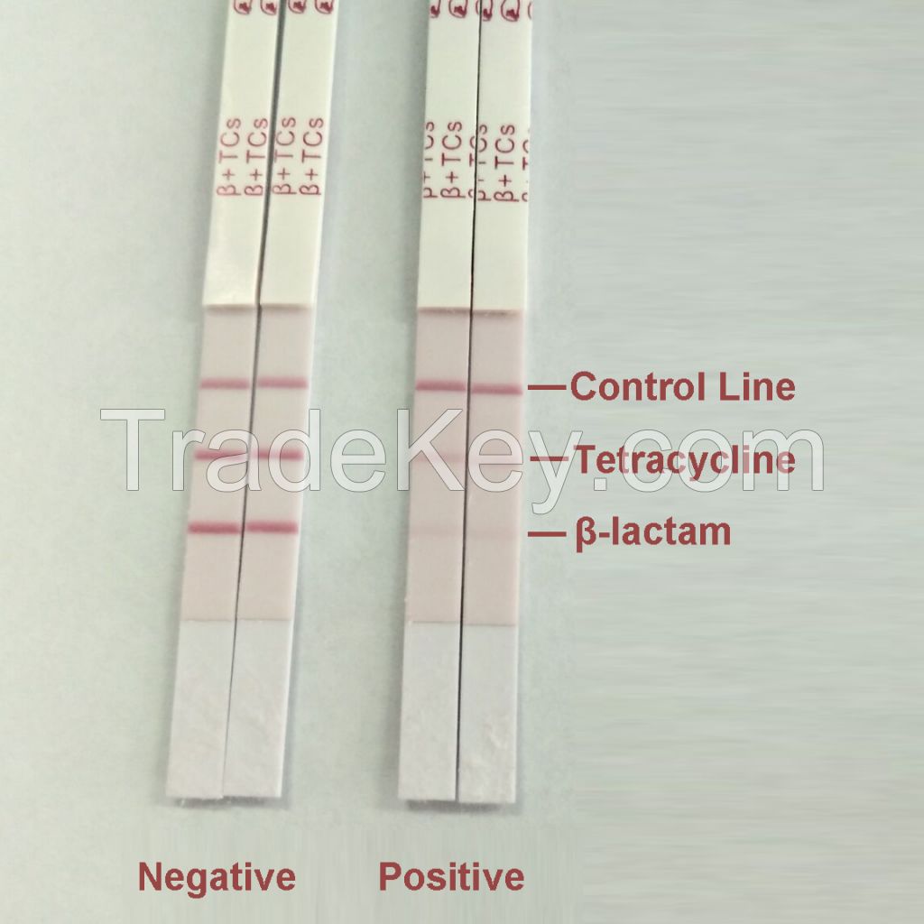 Beta-lactams &amp; Tetracyclines Combo Test Kit