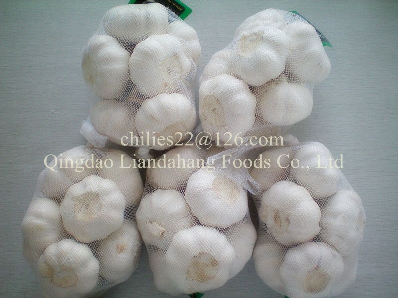 GAP/ KOSHER/ HALAL New Crop Fresh White Garlic