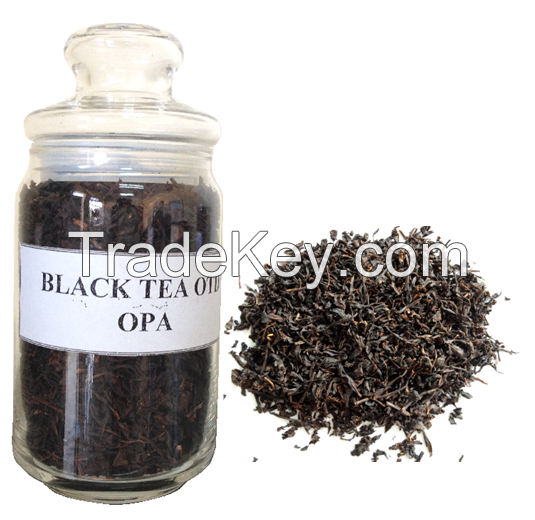 Black Tea OTD - OPA