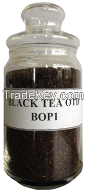 Black Tea OTD - BOP