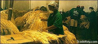 Sisal fiber