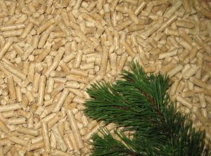 Wood pellets