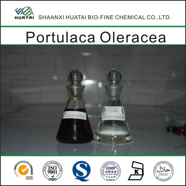 Portulaca oleracea Extract