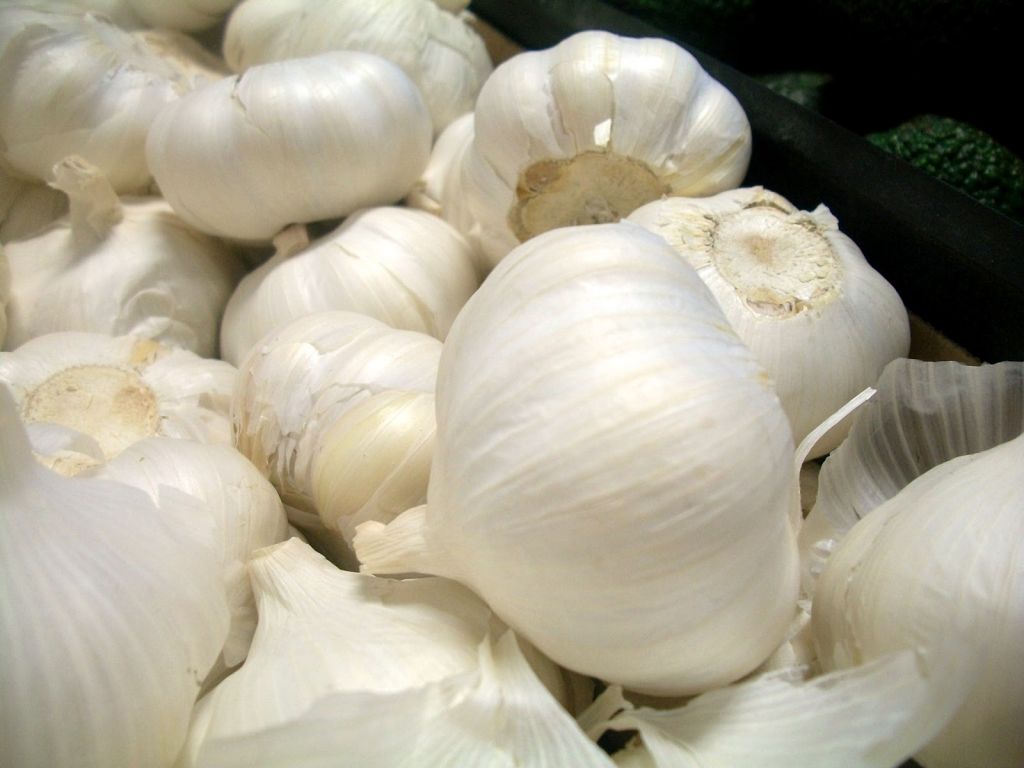 Fresh garlic