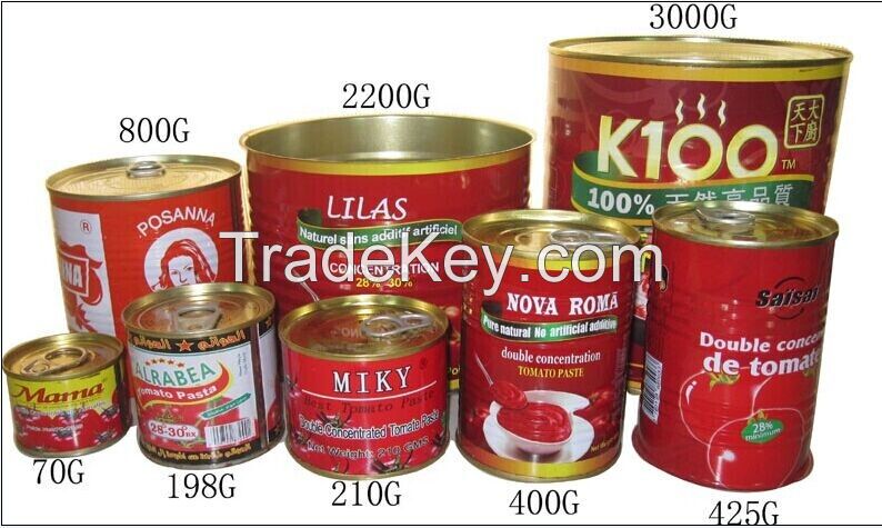 High Quality Tomato Paste, Ketchup, Tomato Sauce 28-30%,30-32%,36-38%