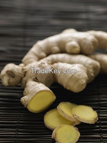 Fresh Ginger, Dried Ginger, Air Dried Ginger
