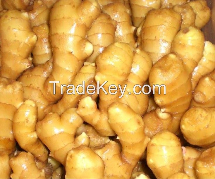 Fresh Ginger, Dried Ginger, Air Dried Ginger