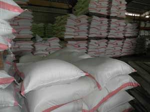 Grain Wheat Flour