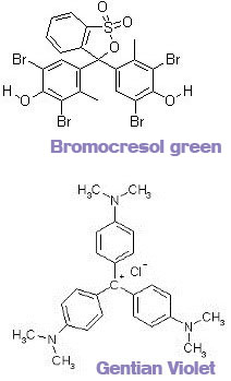 Bromocresol Green Solution Indicator