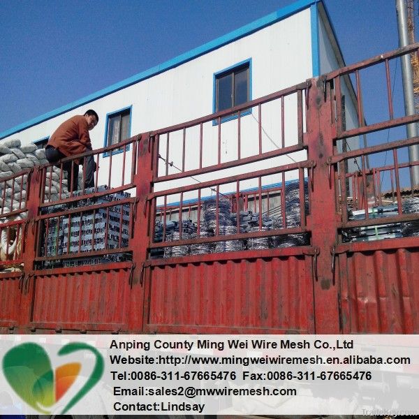 Factory Hot dip Galvanized Razor wire/ PVC coated Razor Barbed Wire/Co