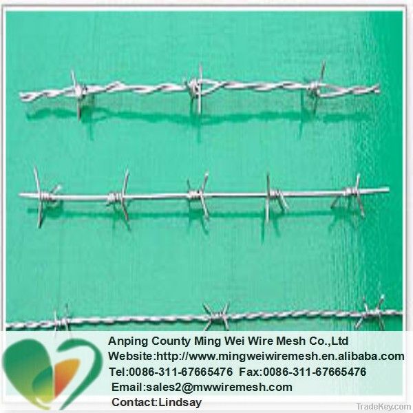 High quality barbed wire (factory)