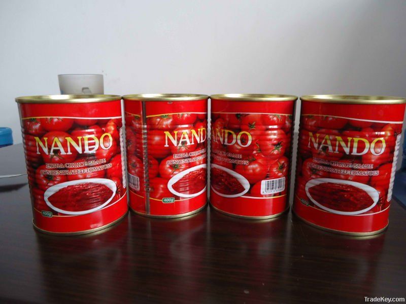 canned tomato paste