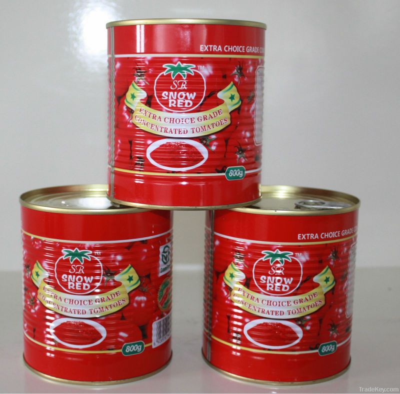 canned tomato paste