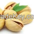 Cashew Nuts