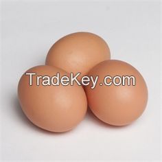 Eggs and egg products
