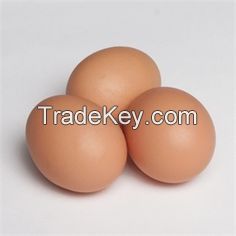 Eggs