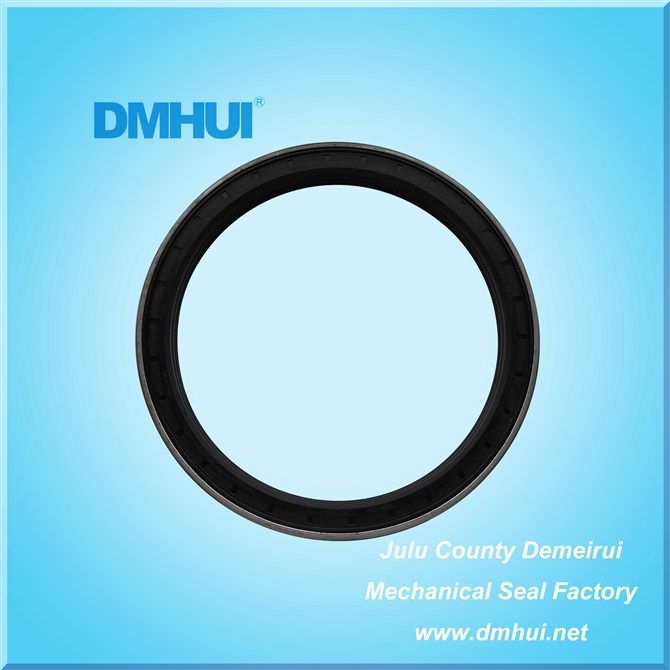 DMHUI High quality  wheel hub oil seal 165-195-16.5/18