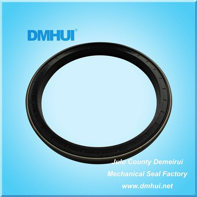 DMHUI High quality  wheel hub oil seal 165-195-16.5/18