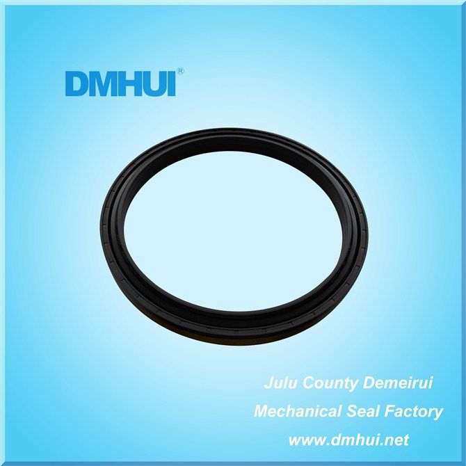 DMHUI High quality  wheel hub oil seal 165-195-16.5/18