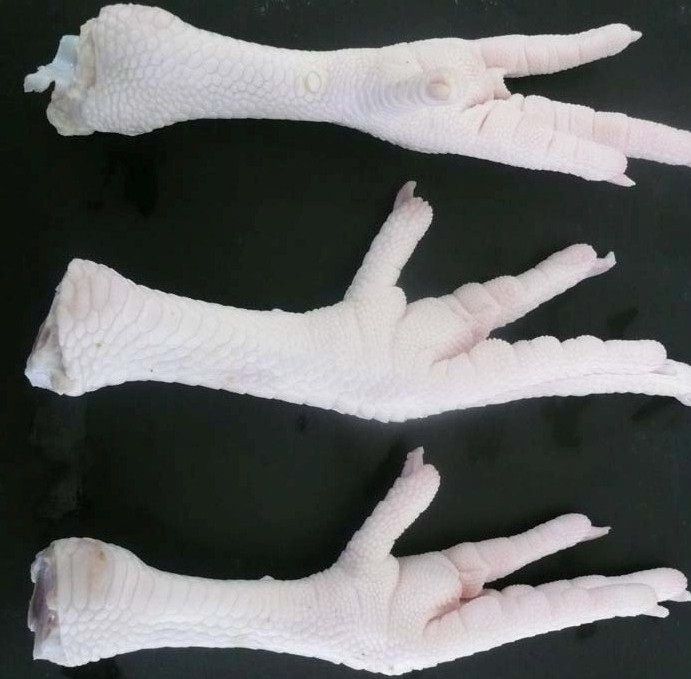 Processed Frozen Chicken Feet Grade A 