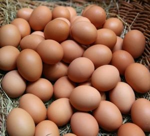 BROWN AND WHITTE CHICKEN TABLE EGGS