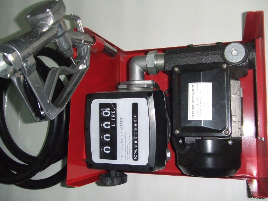 electric transfer pump unit