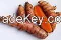 Best Turmeric Available For Sale & Export