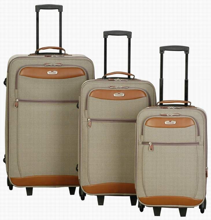 David's Luggage