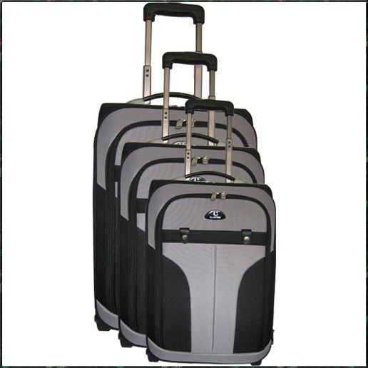 David's Luggage