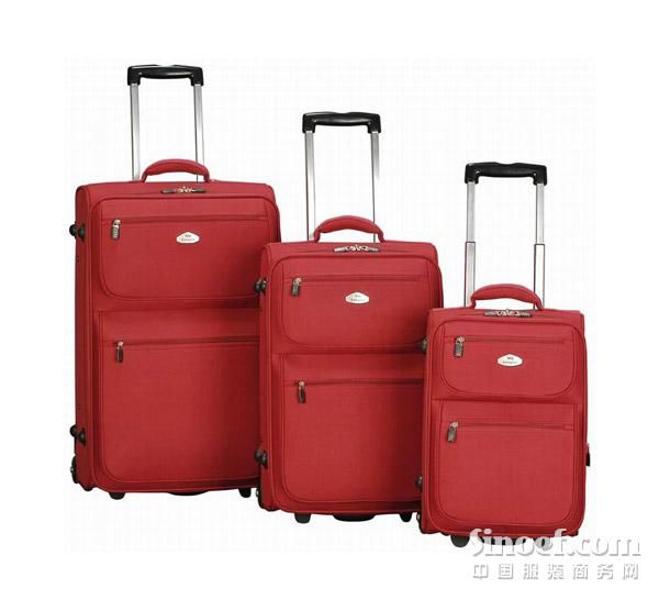 David's Luggage