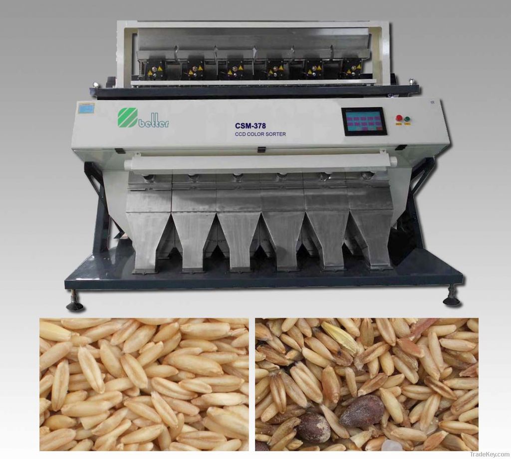5000X3 Pixel, 3CCD, LED True Colorful Wheat Color Sorter