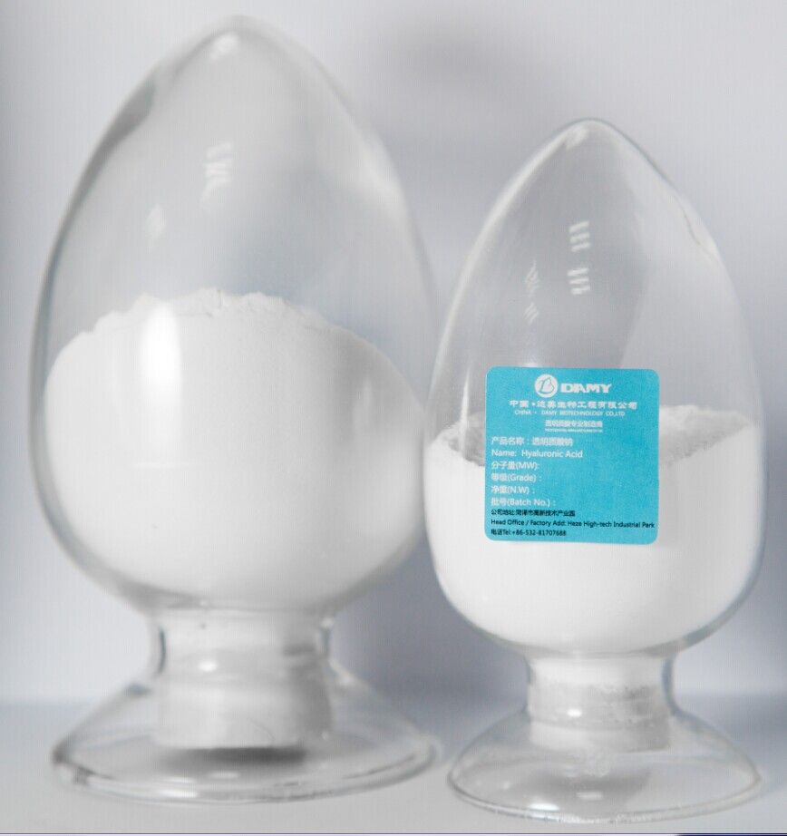 2014 Sodium Hyaluronate/HA Food/Cosmetic Grade/Manufacturer