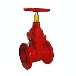 Swing Check Valve