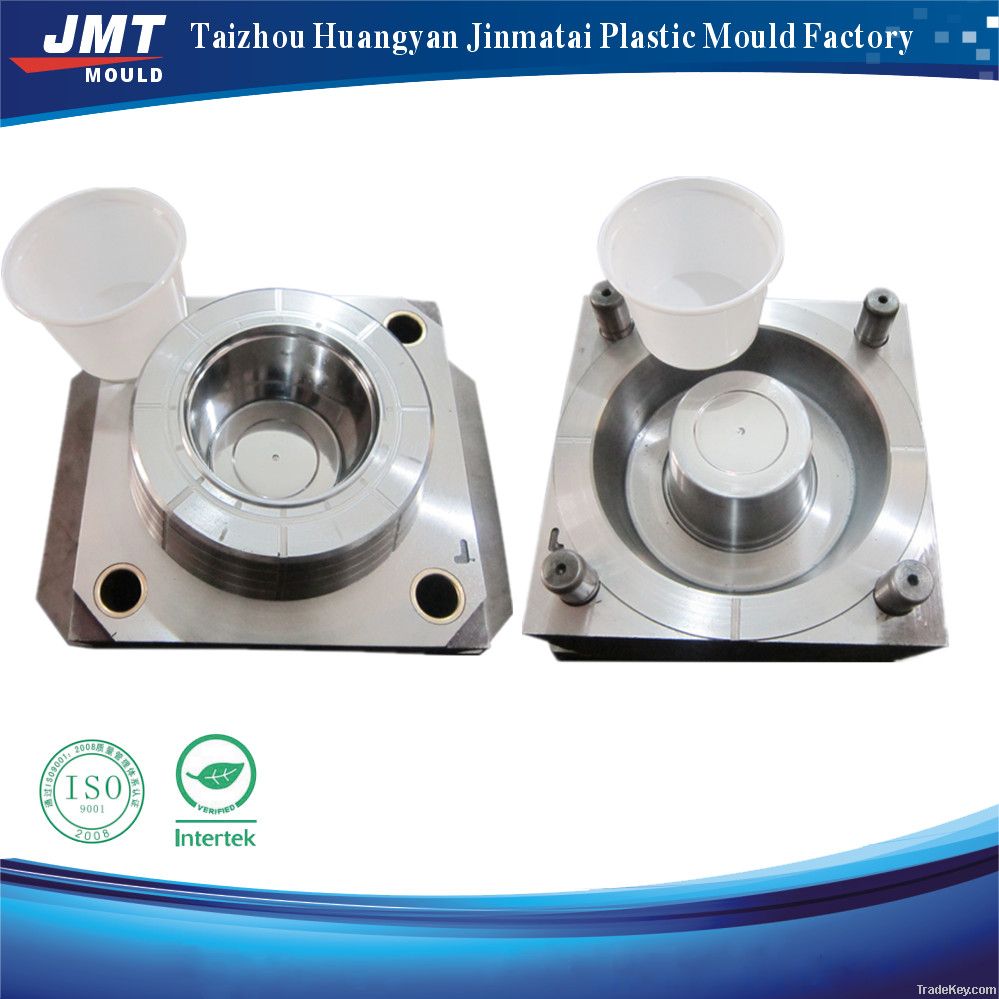 thin wall plastic mould