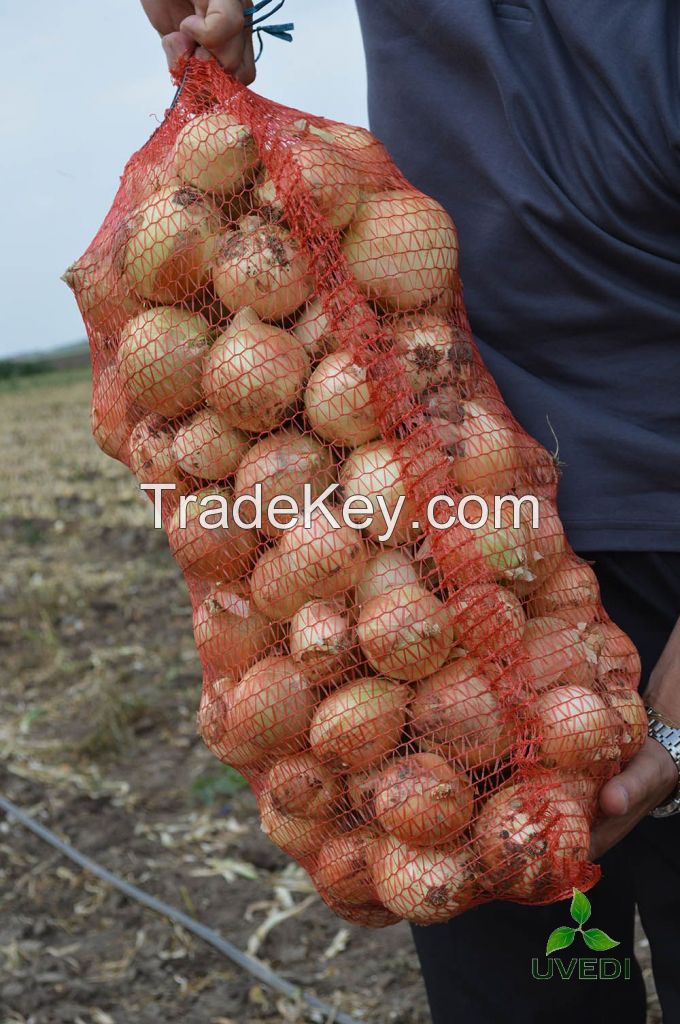 Fresh onions from Ukraine