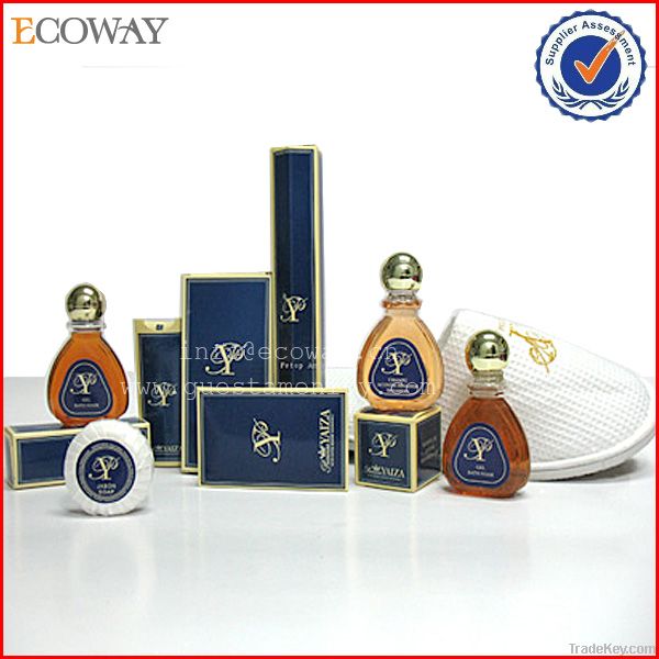 Exquisite Disposable Hotel supplies/Amenity set/ Hotel Amenity