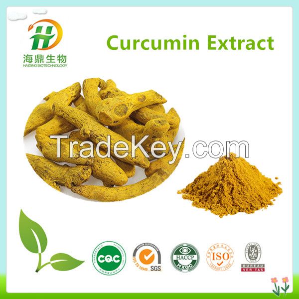 100% natural Turmeric Root Extract 10:1, 12:1;30%~95% Curcumin